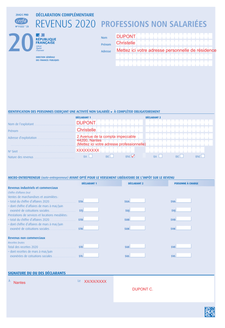 comment remplir formulaire 2042 c pro