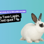 taxe-lapin-medecin-kine-ortho-comptasante